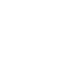 Logo Exposados